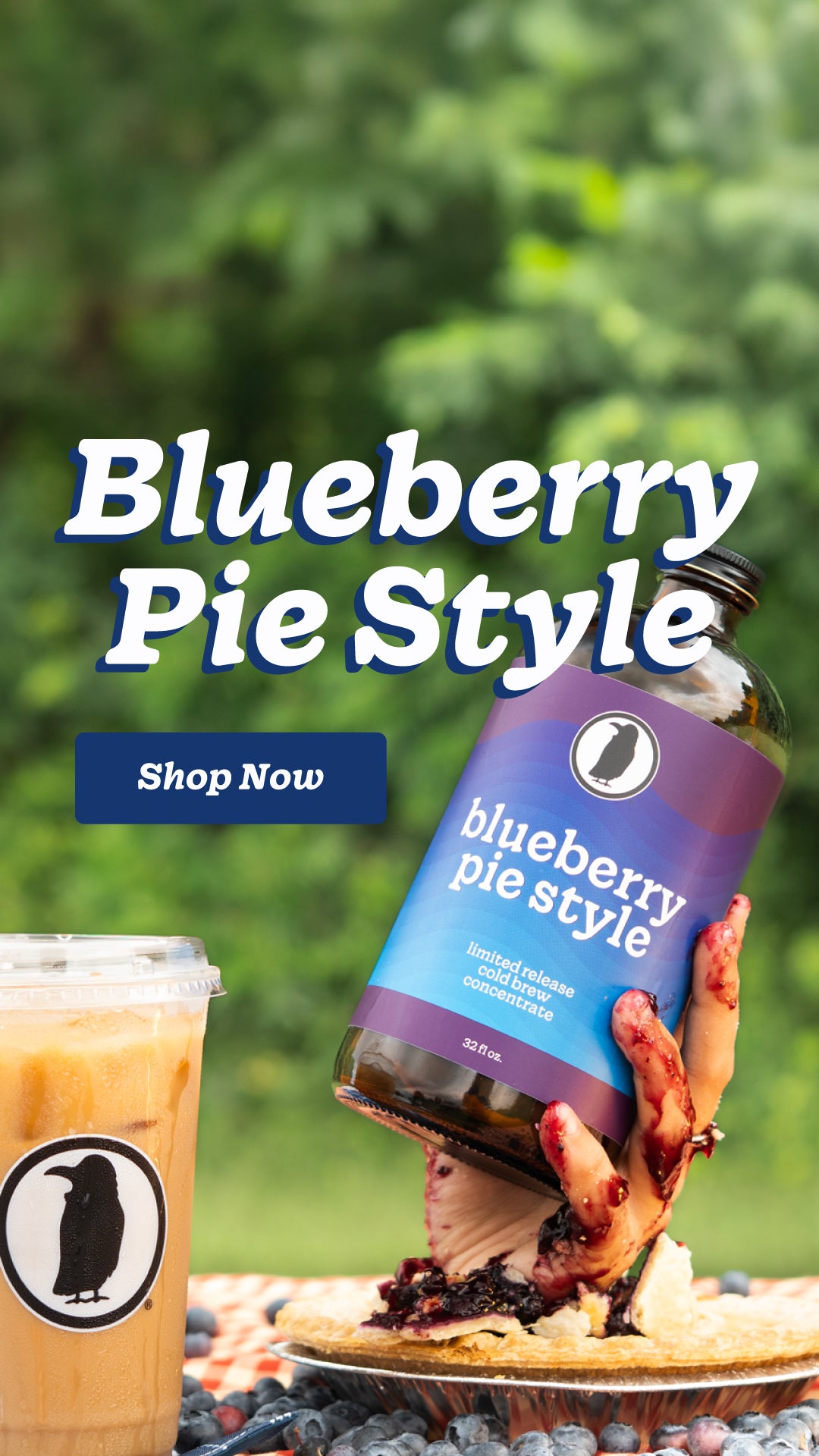 A hand covered in blueberry pie filling holds a bottle of Rook Coffee Blueberry Pie Style Cold Brew Concentrate above a smashed blueberry pie. The bottle has a blue and purple label with white text. To the left is a plastic cup of iced coffee with the Rook penguin logo. Fresh blueberries are scattered on a red gingham tablecloth. The background is out-of-focus green foliage. Text reads: "Blueberry Pie Style. Shop Now."