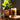 Rook Coffee Peanut Butter Mocha Style cold brew concentrate bottle next to a cold brew in a Rook glass with peanut butter cups on the table.